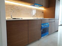 Queens Peak (D3), Condominium #575928091
